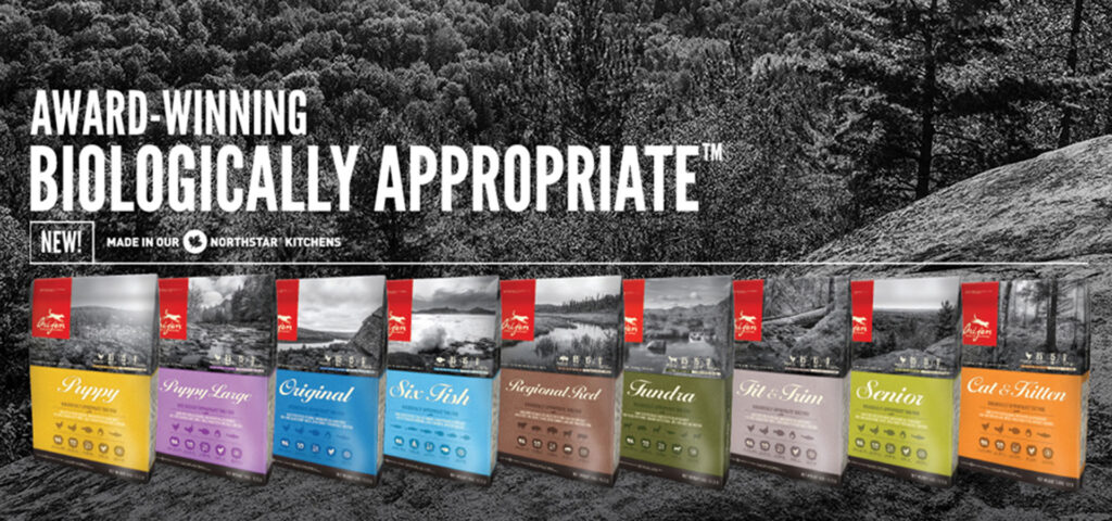 Carton Boxes packaging