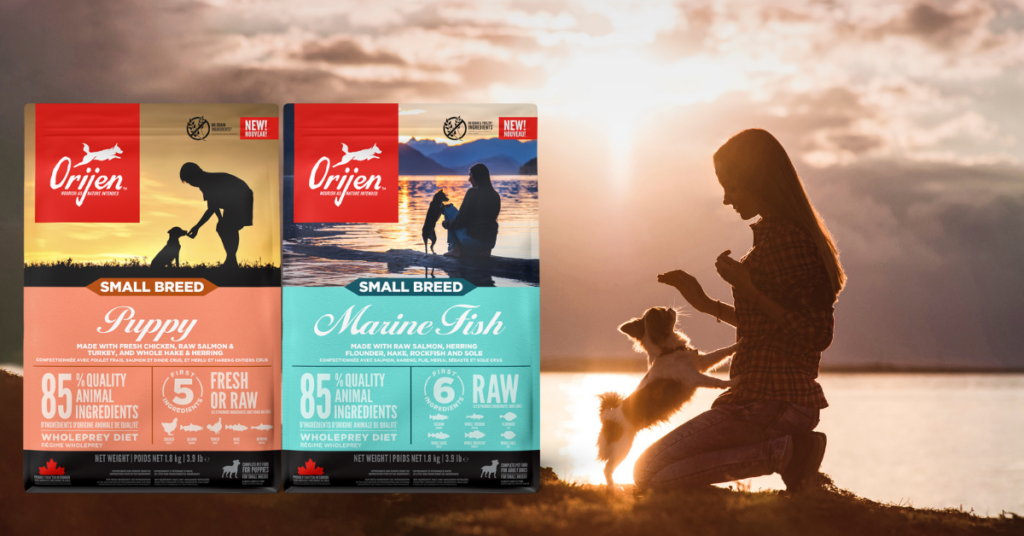 Carton Boxes packaging